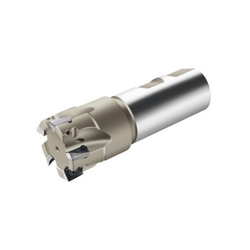 Fraise à surfacer/dresser F4042.W32.032.Z05.08