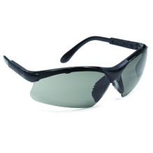 Lunettes de protection THETA